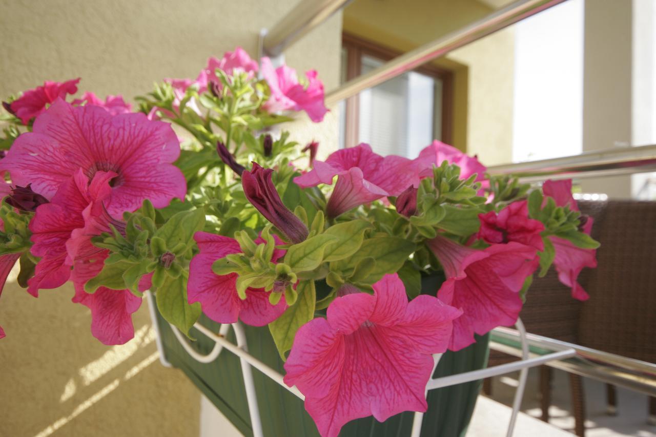 Apartments Salatic Крк Екстер'єр фото